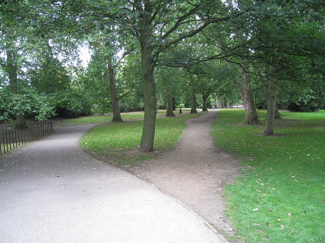 A desire path in a park